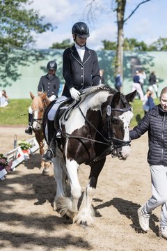 Bild 6 - Pony Akademie Turnier
